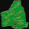 NEW YORK PIN NY STATE SHAPE PINS